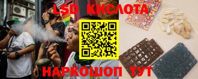 дживик Камышлов