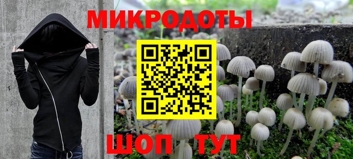 Псилоцибиновые грибы прущие грибы  Псилоцибиновые грибы мицелий  купить наркоту  Вичуга  Вход с VPN 