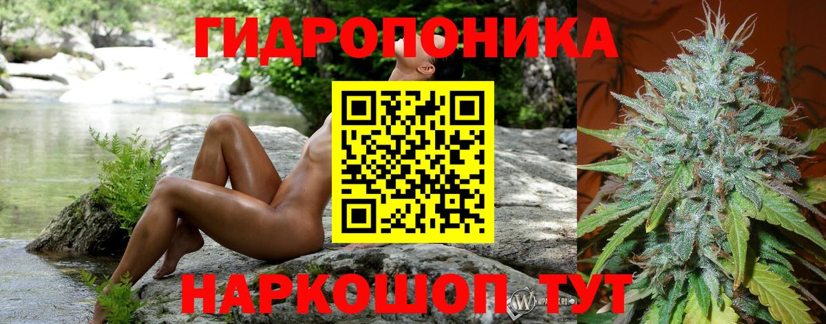 Вичуга  Бошки Шишки White Widow  Марихуана VHQ  МАРИХУАНА сатива  Вход с VPN  Конопля планчик 